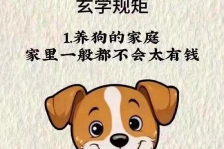 养狗风水禁忌 这样养狗只会破财招灾