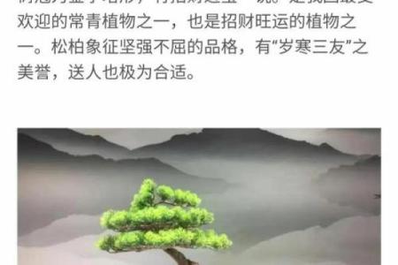 必须知道的风水植物优点有哪些？
