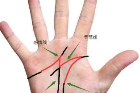 事业线和感情线连在一起的人风水好不好