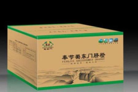 包装纸箱房子风水设计门口