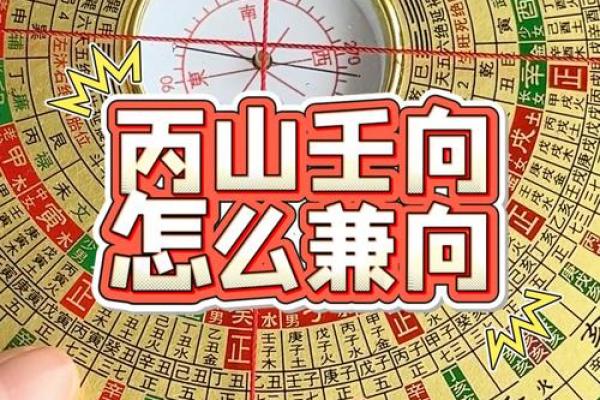 丙山壬向兼午子风水