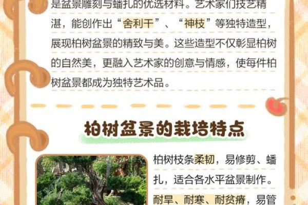 风水学说_北京故宫御花园种了好多柏树