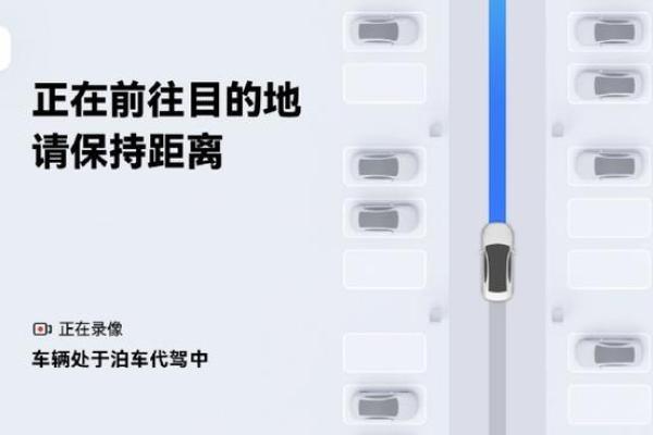 开车风水