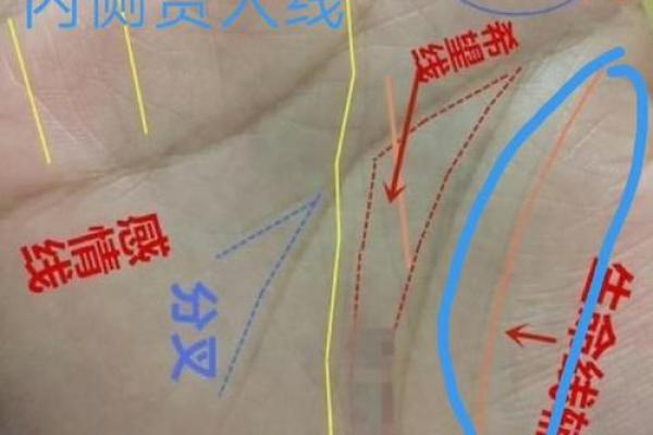 风水生命线分叉代表什么好不好