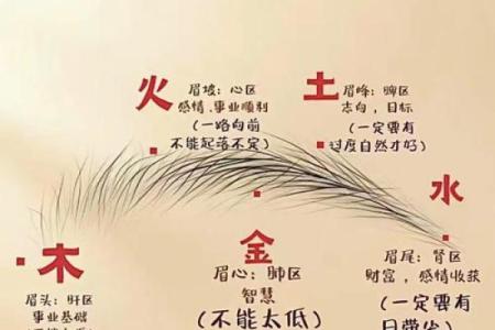 风水角度：柳叶眉女生的面相解释
