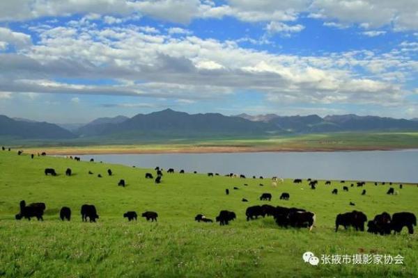 万马归剿风水