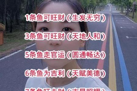 养鱼养几条好-千万注意条数对风水也有大影响