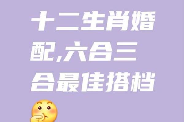 属鼠正缘出现在哪年 属鼠人婚姻配对表