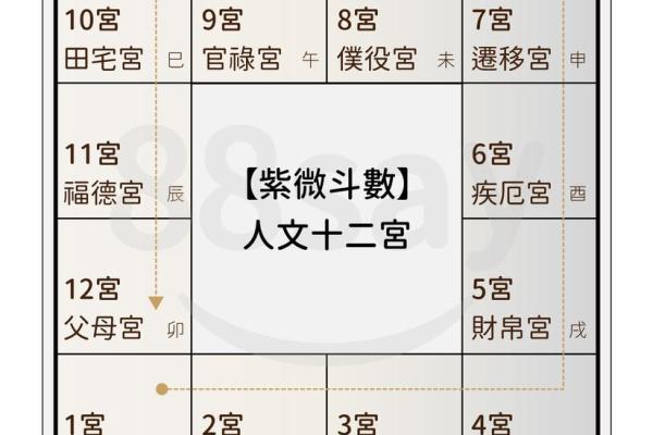 紫薇斗数星盘预测