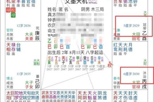 紫薇斗数化忌是怎么来的