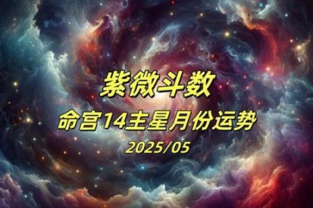 紫薇斗数批流月
