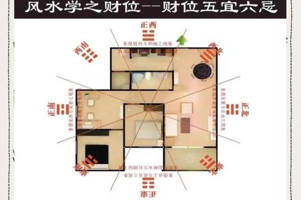 家里财位在哪里适合放什么东西及风水禁忌