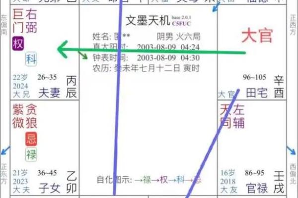 紫薇斗数看自己财