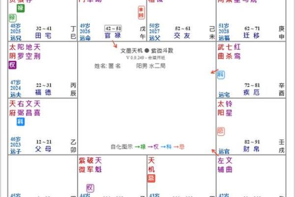 紫薇斗数看自己财