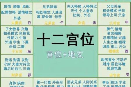 紫薇斗数的天罗地网