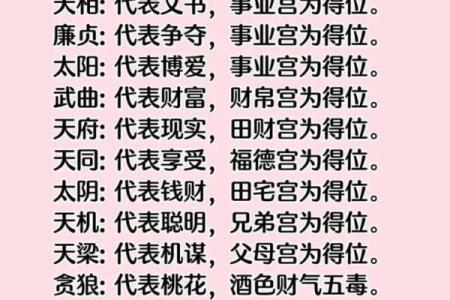 紫薇斗数解析新闻