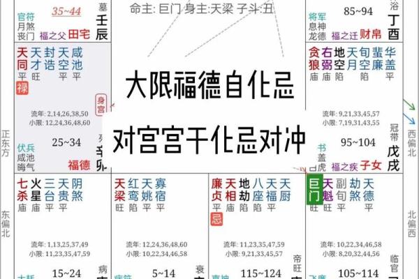 紫薇斗数疾恶化忌