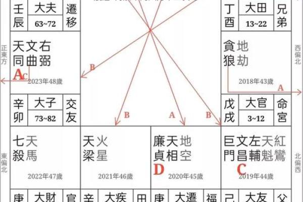 紫薇斗数疾恶化忌