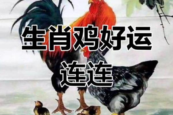 生肖属鸡的最佳求财方位 桃花方位