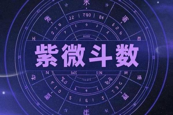 紫薇斗数代表小人
