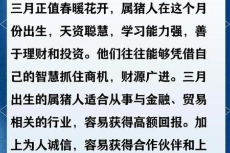 属猪的八字