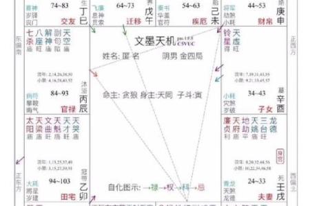 紫微斗数诸星落诸宫之：天机星财帛宫详解
