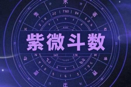 紫薇斗数代表小人