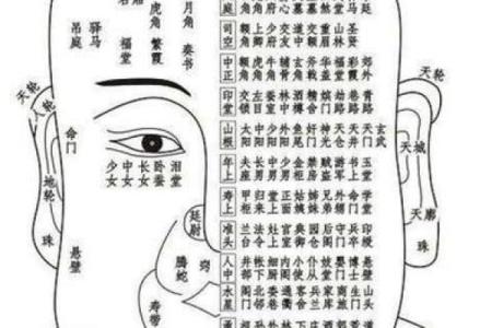 麻衣相算命