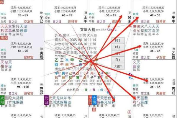 学紫薇斗数