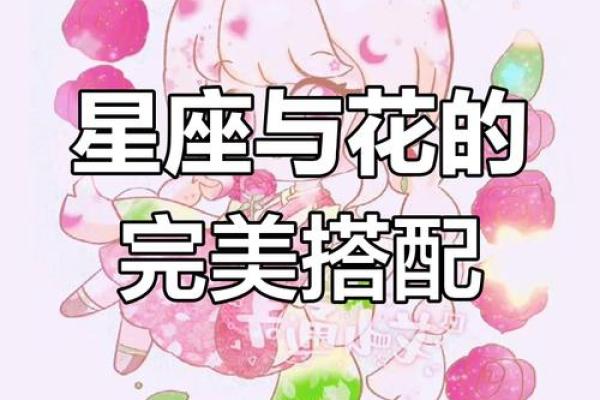 十二星座最合适的花