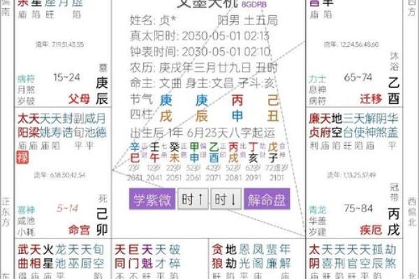 紫薇斗数的官禄宫