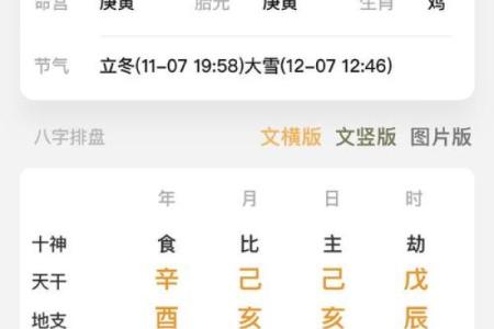 癸亥日八字