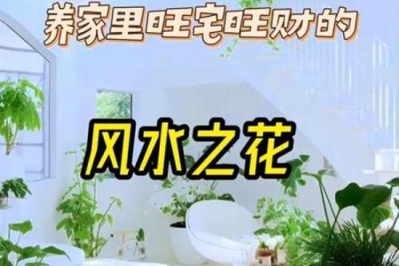 旺事业的格局，居家风水重睡眠