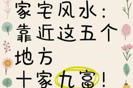 出富风水攻略