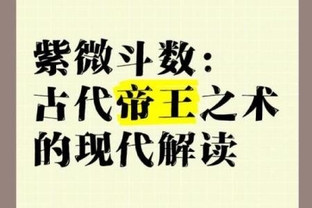孤独的君王紫薇斗数