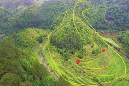 巧断墓地风水