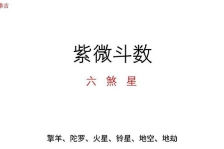 紫薇斗数忌星煞星