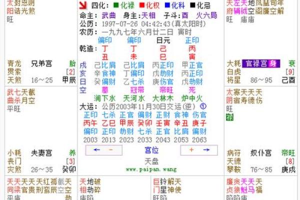 三问紫微斗数星曜大全解析 紫微斗数星曜详解？