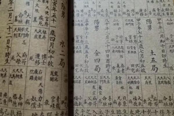 紫薇斗数内局