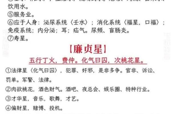 灵机紫薇斗数苹果版