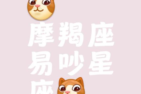 12星座哪五大星座吵架最厉害的