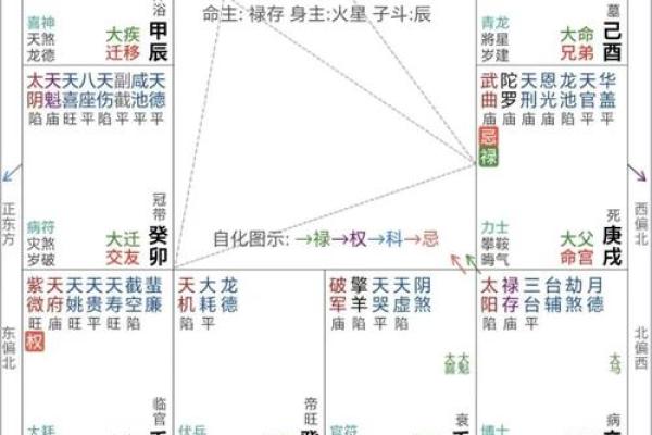 紫薇斗数断事业方向