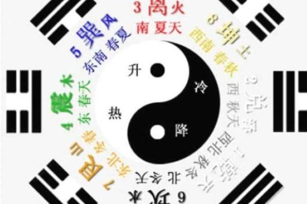 算命玄学剧集推荐