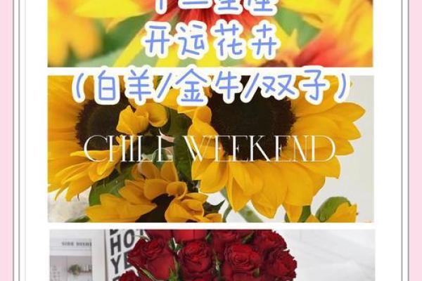十二星座代表的守护花都有哪些呢