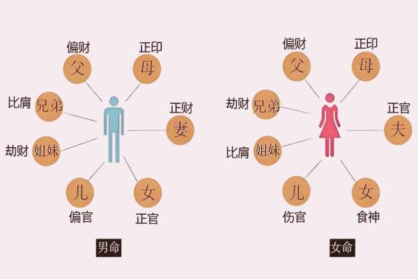 八字六亲