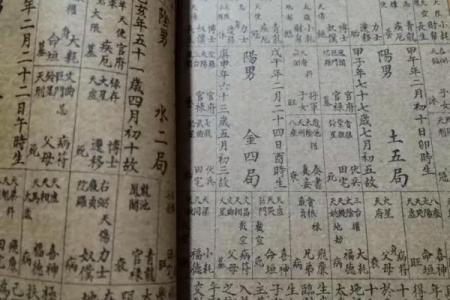 紫薇斗数内局