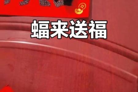 蝙蝠飞进家里好吗风水预示什么老人去世吗