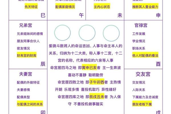紫微斗数诸星落诸宫之,夫妻宫 紫微斗数诸星落诸宫之,夫妻宫