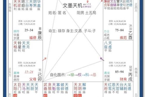 紫薇之术中的紫微斗数