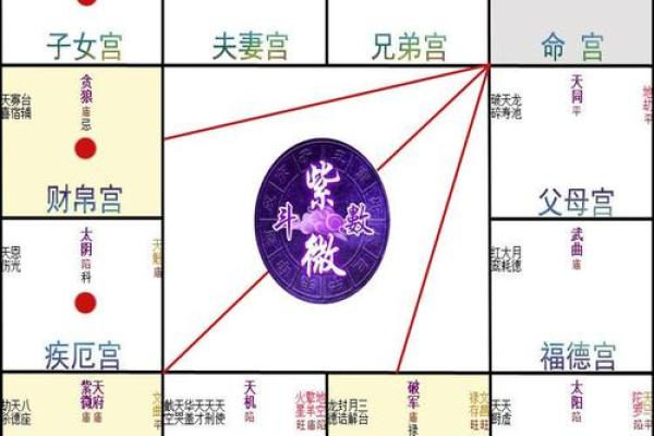 紫薇之术中的紫微斗数